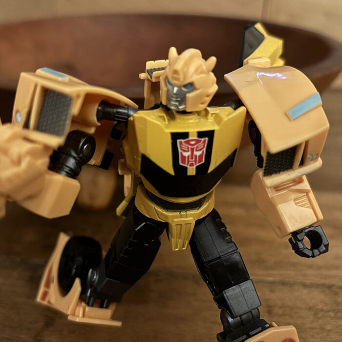 Stop Motion