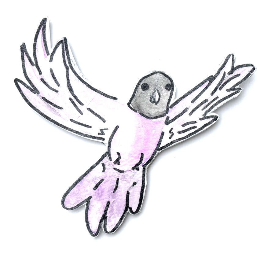 Pidgeon illustration