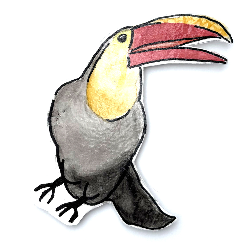 Toucan illustration