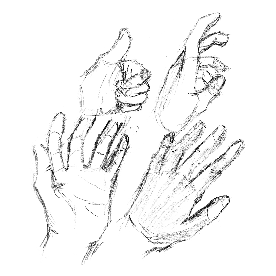 Sketch of Hands
