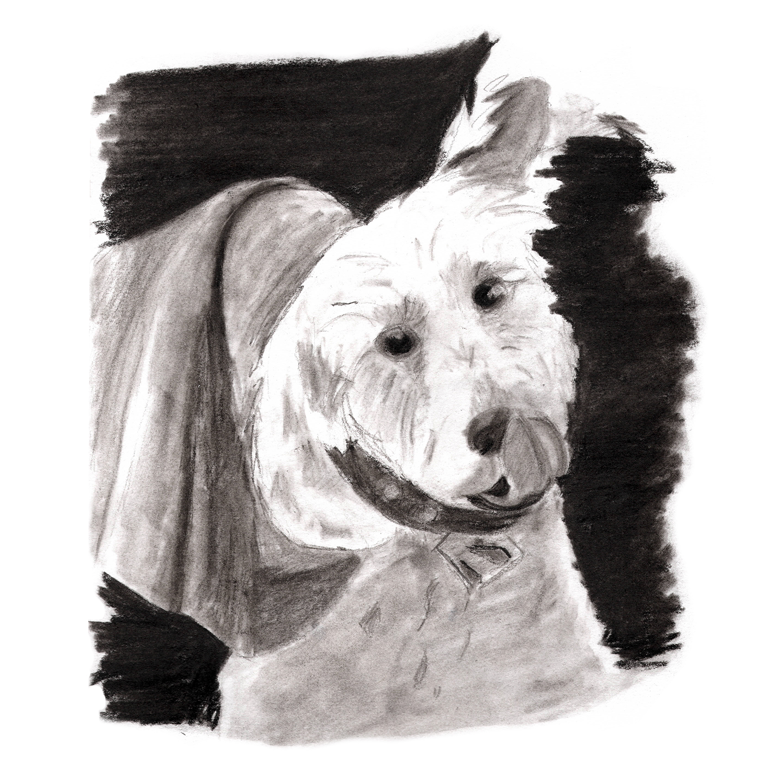 Illustration of Krpto in Charcoal