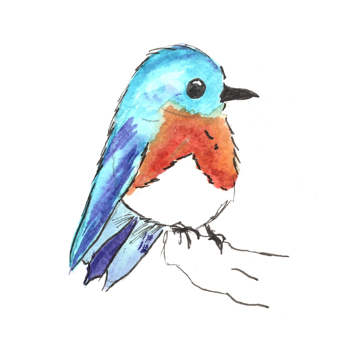 Watercolor Illustration of a Robin